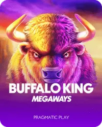 Golden Panda Buffalo king