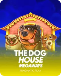 Golden Panda The dog house